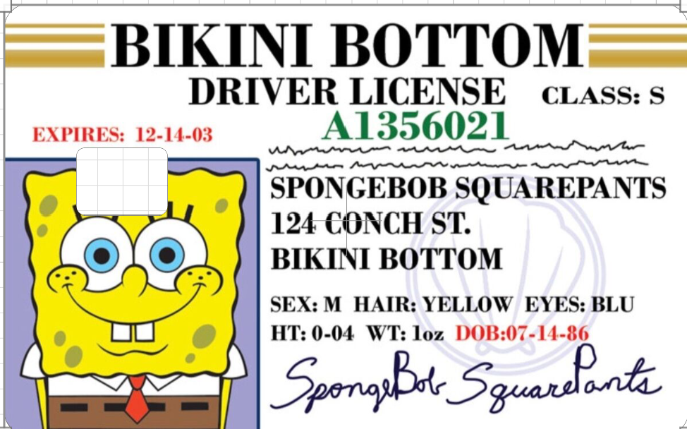 Card Slap- Sponge Driver's License