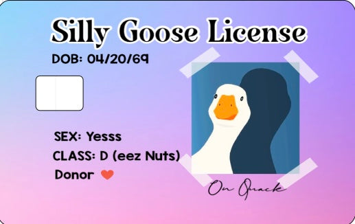 Credit Card Skin Slap- Silly Goose License